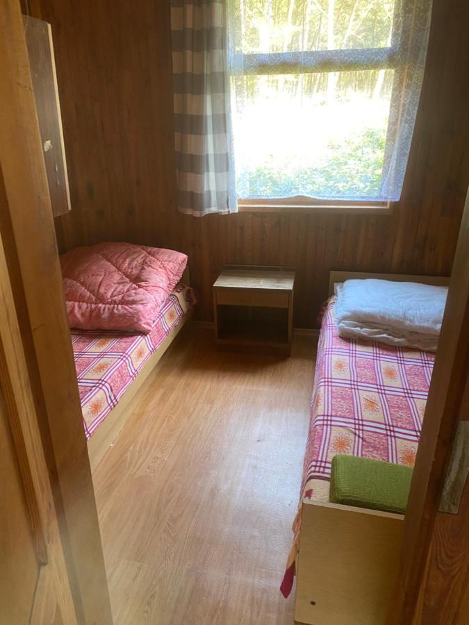 Domki Szumi Las Villa Mrzezyno Ngoại thất bức ảnh