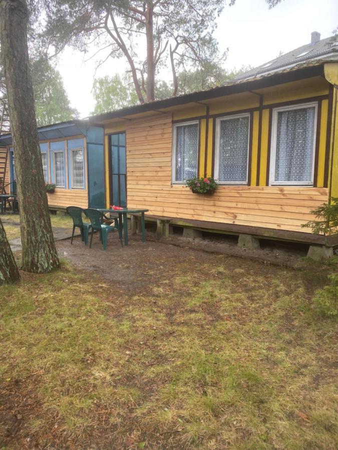 Domki Szumi Las Villa Mrzezyno Ngoại thất bức ảnh